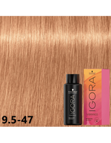 Schwarzkopf plaukų dažai Schwarzkopf Igora Vibrance 9.5-47, 60ml