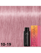 Schwarzkopf plaukų dažai Schwarzkopf Igora Vibrance 10-19, 60ml