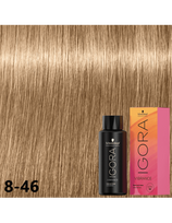 Schwarzkopf plaukų dažai Schwarzkopf Igora Vibrance 8-46, 60ml