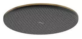 Hansgrohe Raindance Alive S – dušo galvutė, skersmuo 30 cm, šlifuotas bronzos spalvos 24520140