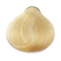 VERACOLOR Ammonia Free Hair Color with Argan Oil, 10.0