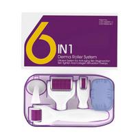 6 in 1 Microneedle Derma Roller rinkinys veidui Eye Body 300/720/1200 Rolling System Microneedling veido voleliu grožio priežiūros priemonė violetinė