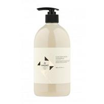 Hadat Cosmetics Spalvą išsaugantis šampūnas dažytiems ir šviesintiems plaukams Golden Hour Shampoo 800ml