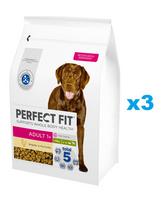 PERFECT FIT Adult 1+ sausas visavertis ėdalas suaugusiems didelių veislių šunims su vištiena 3x2,6 kg