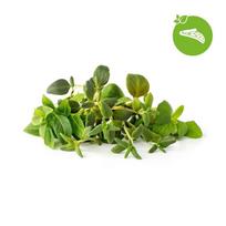 Click and Grow Smart Garden Backfill - Italian Herbs 9-pack for Fresh Kitchen Treasures