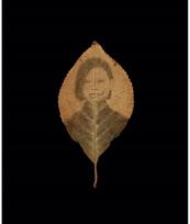 Binh Danh: The Enigma of Belonging