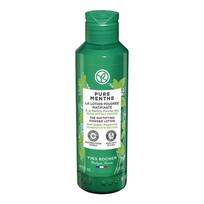 YVES ROCHER PURE MENTHE THE MATTIFYING POWDER veido losjonas, 150 ml