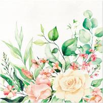 Gėlių vilnos servetėlės minkštos lanksčios povo 40 cm x 40 cm 50 vnt., Gėlių vilnos servetėlės minkštos lanksčios povo 40 cm x 40 cm 50 vnt.