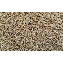 RSINC 100% natūralūs kmynai (Kuminų sėklos/ Cuminum Cyminum)- 100 g JL184609809778