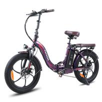 FAFREES F20 Pro Electric Bicycle Foldable 20  250W Motor Electric Bike Adult Top Speed 25Km/h 36V 18AH Range 90Km Load 150Kg 6 Color 36V 18AH violetinė