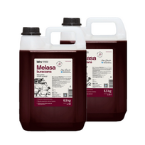 Burokėlių melasa Lab-v 2x5L