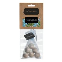 ACappella car scent wooden balls Gingerbread