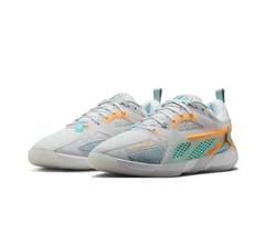 Nike Heir Series PF Vyriški krepšinio batai FQ3859-101 EU 44 pilka spalva