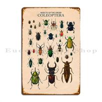 Vintažinis vabalas vabzdys plakatas užrašinė knygelė Coleoptera metalinis ženklas plakatas individualus garažas pritaikyti sienų dekoras sienos urvas skardinis ženklas plakatas 20x30cm