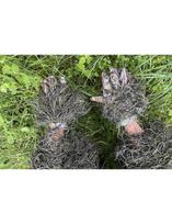 Maskuojančios pirštinės Ghillie