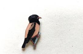 Ženkliukas ROSY STARLING / Rožinis varnėnas