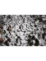 Camo maskuojantis tinklas all season 1.5x5 m sniegas