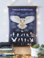 Plakatas “Tobulos medžiotojos. 13 Lietuvos pelėdų“ Smart Bird
