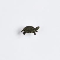 Ženkliukas POND TERRAPIN / Balinis vėžlys