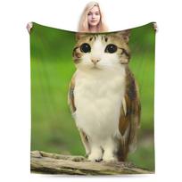 Miau Katė Pelėda Mėmė Antklodė Minkštas Koralinis Vilnos Pliušas Gydantys Dovanos Mėtymo Antklodės Lovos Patalynės Mėtymo Antklodės 30x40in