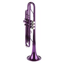 Trimito komplektas B bemolio žalvarinis Pakeičiamos muzikos instrumentų dalys su laikymo krepšiu Violetinis