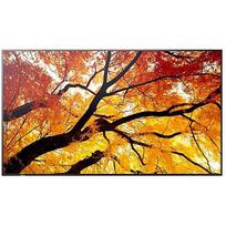 Sharp Monitor MultiSync M502 50 inches 550cd/m2 24/7 60006054