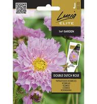 Paprastųjų kosmėjų sėklos DOUBLE DUTCH ROSE, 0,3 g
