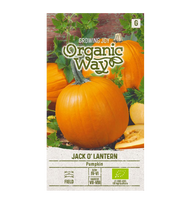 Moliūgų sėklos JACK O' LANTERN, 2 g