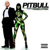 CD Pitbull - Rebelution