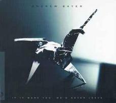 CD Andrew Bayer - If It Were You, We'd Never Leave