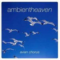 CD Clive Lendich - Ambient Heaven - Avian Chorus