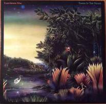 Vinyl (LP) Fleetwood Mac - Tango In The Night