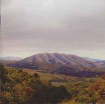 CD Dirty Projectors + & Björk - Mount Wittenberg Orca