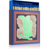 Paddywax Jumbo Boxed Floral degtukai 1 vnt.