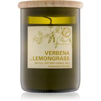 Paddywax Eco Green Verbena & Lemongrass kvapioji žvakė 226 g