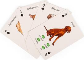 Kikkerland - Paws & Play Playing Cards - (GG274)