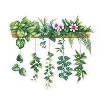 Švieži Žali Augalai Sienų Lipdukai Lipnūs Nuimami Vinilo Lipdukai Virtuvės Spintelėms Fojė Vazoninių Augalų Plakatai Namų Dekoravimas 30x60cm*2 žalia