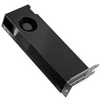 Dell RTX 2000 Ada Generation, 16GB GDDR6, Low Profile DELL-M7X81