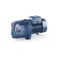 Vandens siurblys Pedrollo JSWm2CX-N (JSWm10MX)
