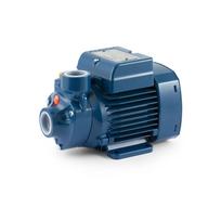 Sausai statomas horizontalus siurblys Pedrollo PKm70 220V