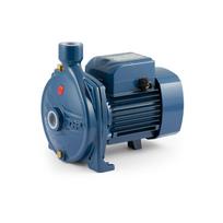 Sausai statomas horizontalus siurblys Pedrollo CPm 160C 220V