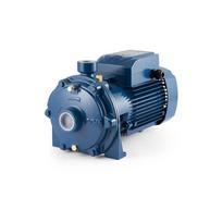 Dvipakopis siurblys Pedrollo 2CPm 25/130 220V