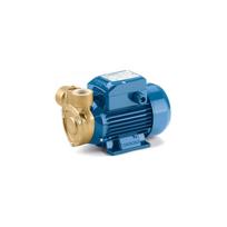Sausai statomas horizontalus siurblys Pedrollo PQ65-Bs 380V