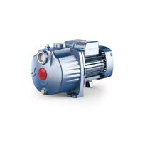 Daugiapakopis siurblys Pedrollo 3CPm 60-C 220V