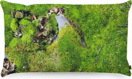 Foonka Grikių lukštų pagalvė Foonka veja 50 x 30 cm