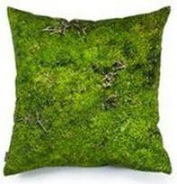Foonka Pagalvės užvalkalas Hayka veja 50 x 60 cm