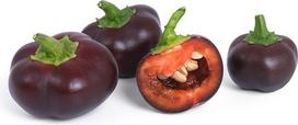Veritable Sėklos Lingot mini daržovė šokoladinė paprika