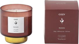 Bloomingville Kvapioji žvakė Illume Cozy Nectarine 9 cm