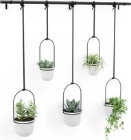 Umbra Pakabinami vazonai Triflora 5 baltos spalvos