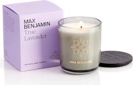 Max Benjamin Kvapioji žvakė Max Benjamin True Lavender